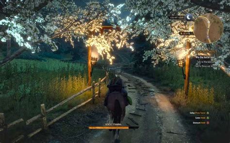 witcher 3 racing games|Broken Flowers Walkthrough .